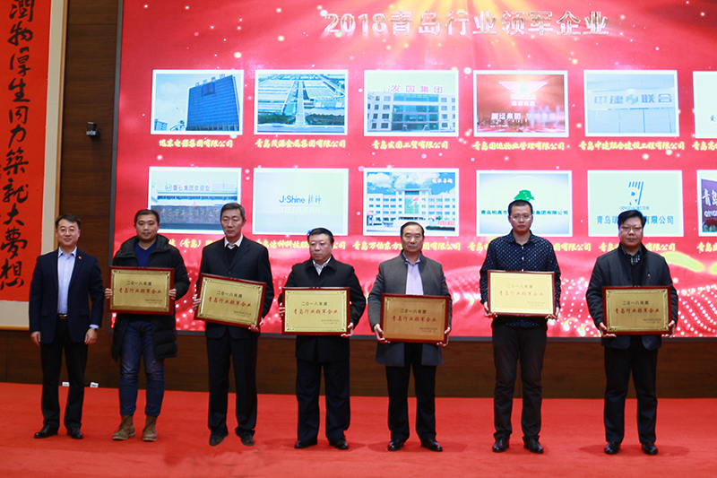 民營企業(yè)高質(zhì)量發(fā)展，德才集團(tuán)再獲殊榮領(lǐng)跑民企(圖2)