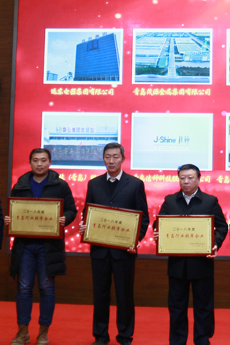 民營企業(yè)高質(zhì)量發(fā)展，德才集團(tuán)再獲殊榮領(lǐng)跑民企(圖6)