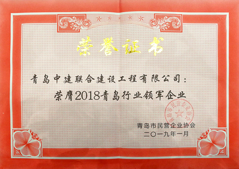 民營企業(yè)高質(zhì)量發(fā)展，德才集團(tuán)再獲殊榮領(lǐng)跑民企(圖8)