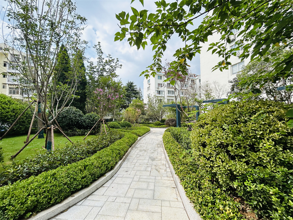 創(chuàng)新模式打造品質(zhì)社區(qū)——青島市永嘉路二片區(qū)老舊小區(qū)改造項目(圖13) 創(chuàng)新模式打造品質(zhì)社區(qū)——青島市永嘉路二片區(qū)老舊小區(qū)改造項目(圖13)